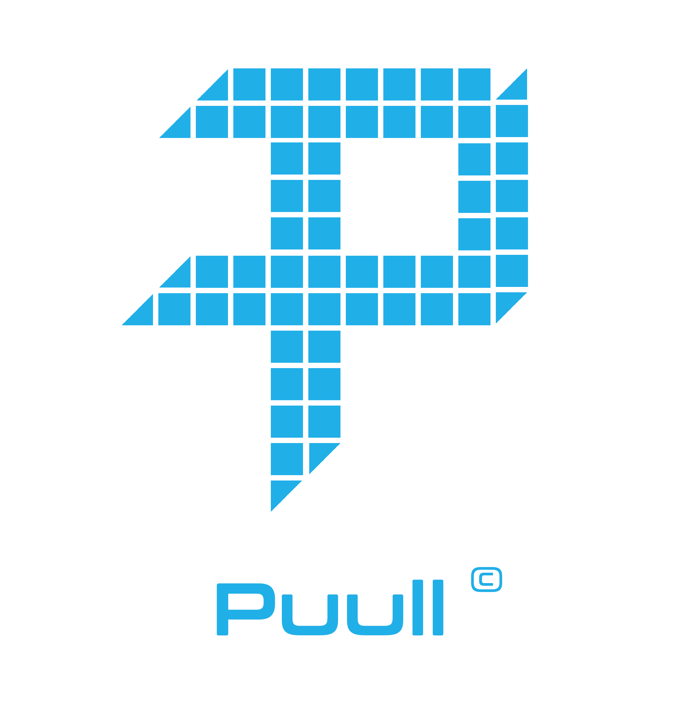 logo Puull
